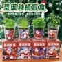 种植盆栽儿童圣诞节盒