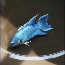 ���B���B�Ї�С����ˮ��ˮ�^�p�~���w���~�\�����~���~�~�����\