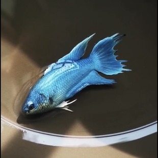 ���B���B�Ї�С����ˮ��ˮ�^�p�~���w���~�\�����~���~�~�����\