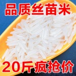 新米当季超长粒香米软糯大米新鲜猫牙丝苗米农家象牙细米炒饭群木