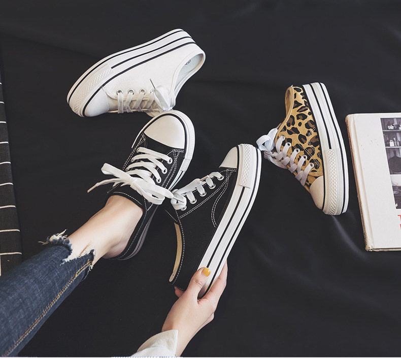 i2uUjf6mxdTrdS49SARxxPdVYqH2rcHZOybF