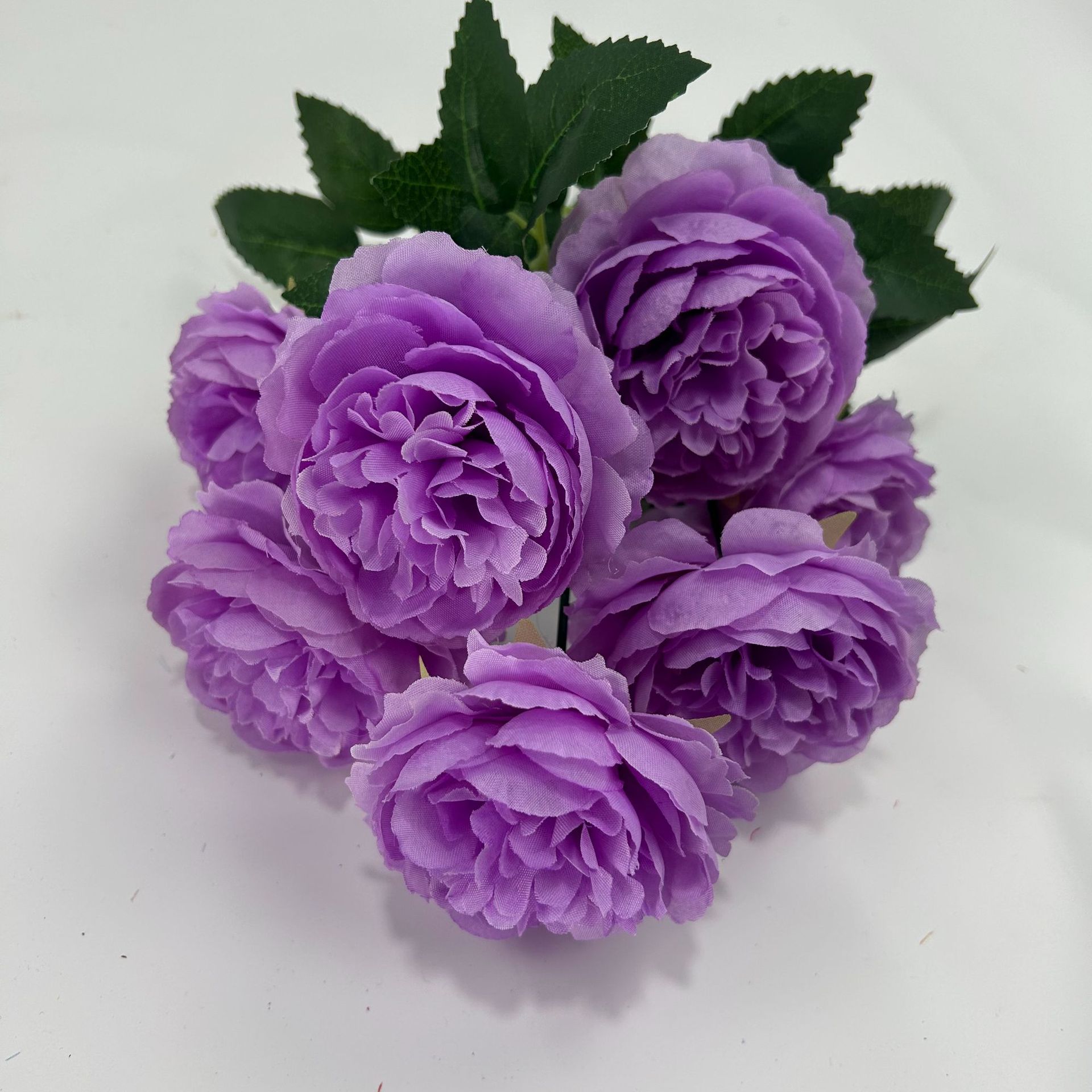 진한 보라색