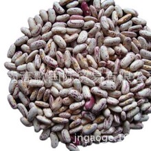 ���ҳ��ڹ�Ӧ��Ƥ������BLANCHED PEANUT KERNEL ��ӭѡ��