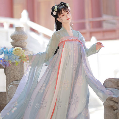 Tang Dynasty Hanfu Fairy dress for women hanfu Confucianism, Tang Dynasty Hanfu Fairy dress for womenskirt double-breasted women 