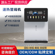 跨境AI新款即热式管线机语音款壁挂式家用饮水机即热式秒速热tds