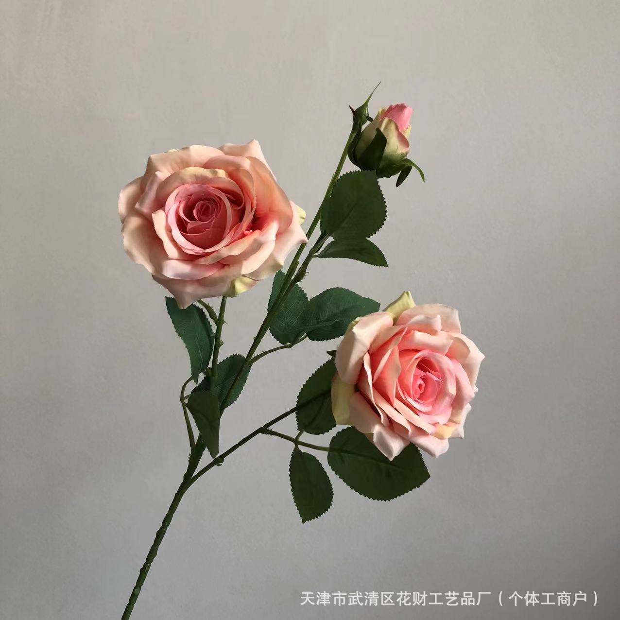 살색 핑크