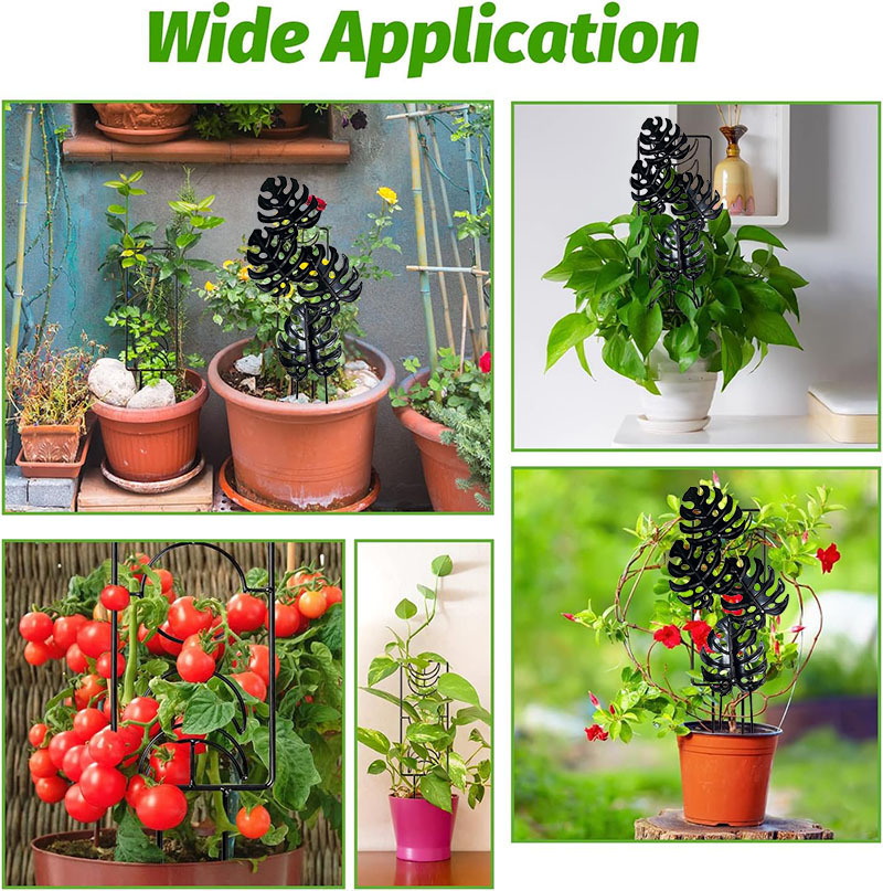 O1CN01gwITNI1q2ecvc4f1n_!!2215