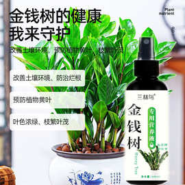 金钱树肥料专用肥活力素花肥防黄叶落叶烂根金钱树营养液专用肥