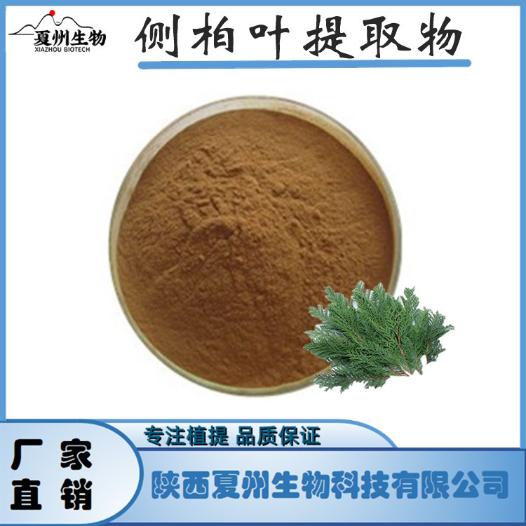 侧柏叶提取物10/20/30:1 夏州生物 另50/100/200:1 公斤装