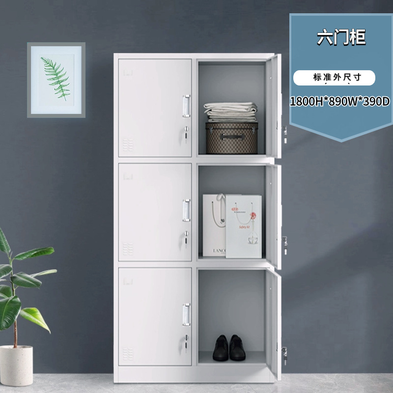 6도어 보관 캐비닛