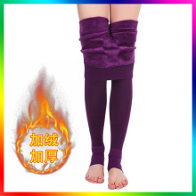 �W���ӽq�Ӻ�Ӵ�������Q���ѝŮ�ո�����һ�wѝ�����lһ�����l