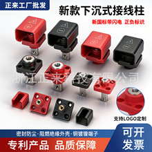 50A80A100A120A150A200A250A锂电池接线柱铅改锂新国标接线柱端子