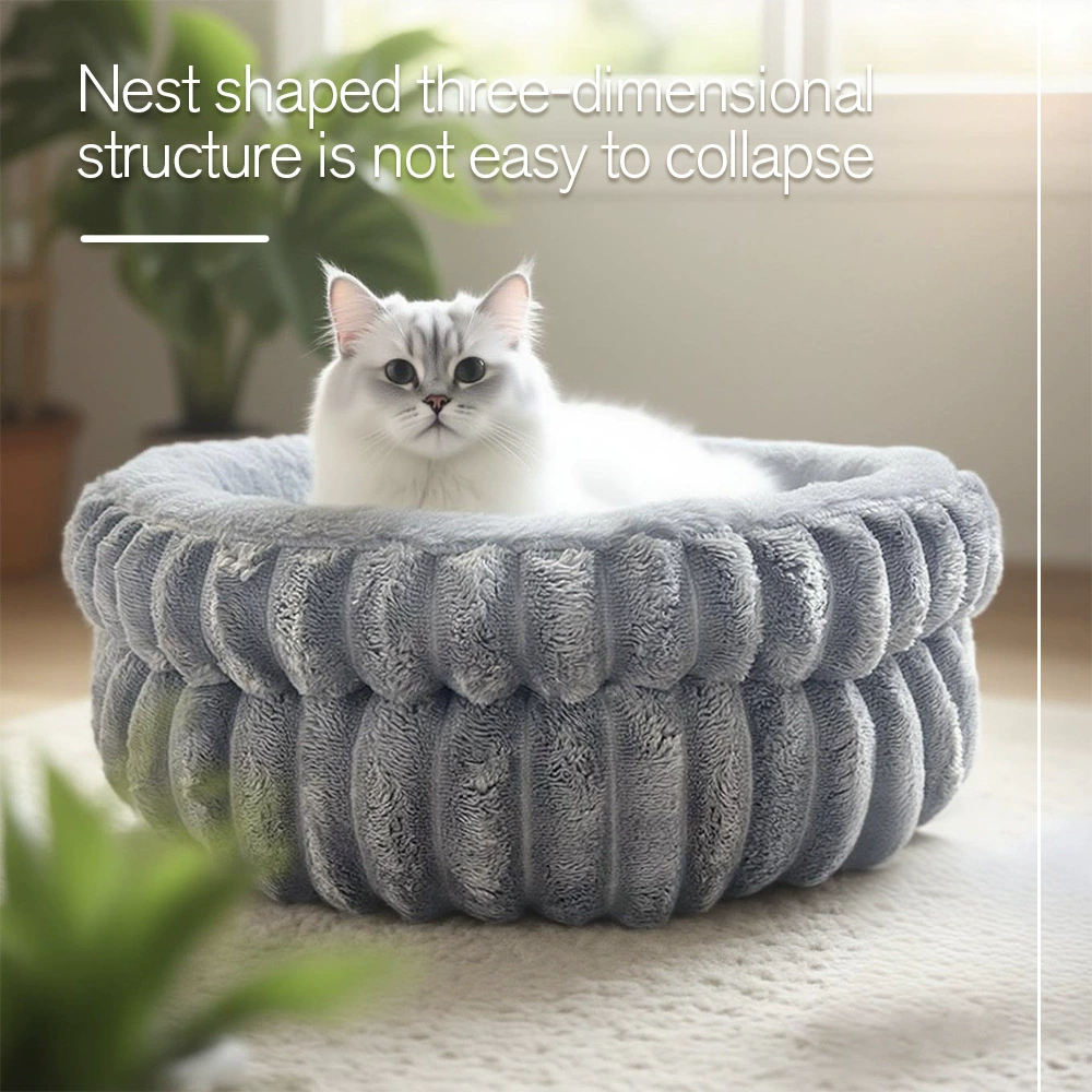 Трансграничный круговой питомник Кошачий питомник утолщает и теплая домашняя питомница