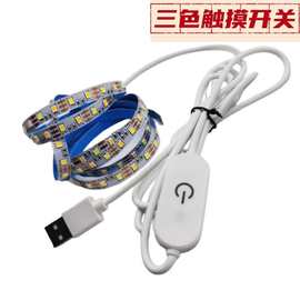 厂家直销网红画 发光画 壁画灯120灯双色灯带5VUSB软灯带