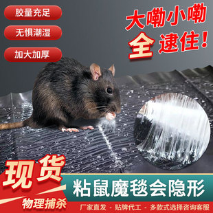 Mouse Sticker Strong Mouse Sticking Board Super Large Rodent Control Magic Carpet Drive Catch and Stick Catch Mouse Artifact Super Household Indoor