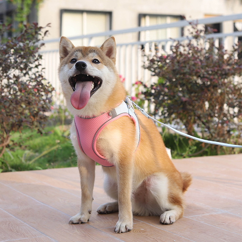 Verano transpirable PET pecho Correa nueva Suede perro Correa perro reflectante perro caminar cuerda traje