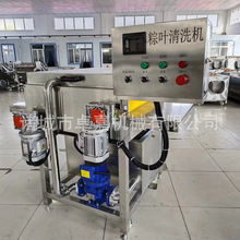 洗粽叶机器 新鲜苇叶芭蕉叶清洗机 小型荷叶粽叶毛刷式清洗设备