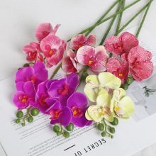 �ָ��z3D�����m3�^���滨��c�Ҿ��Ɍ��zӰ�����b[�żٻ�