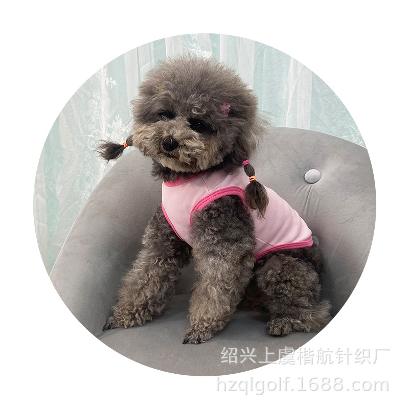 ɹT ӡT ̩СȮɫӡTװ