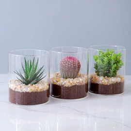 玻璃杯;茶杯;收纳密封罐