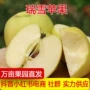 陕西白水新鲜青苹果水果