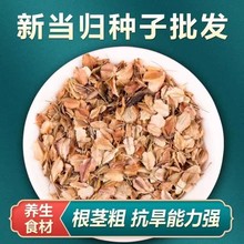 ���w�N�� �����w�N�� �𮔚w�N�� �ɚw Ắ��w ���󃞻ݸ߳�ѿ��