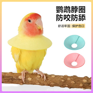 �W�^�B����ɯ��Ȧ��ҧë��ë�܂����o���׻�Ƥĵ���������S���l