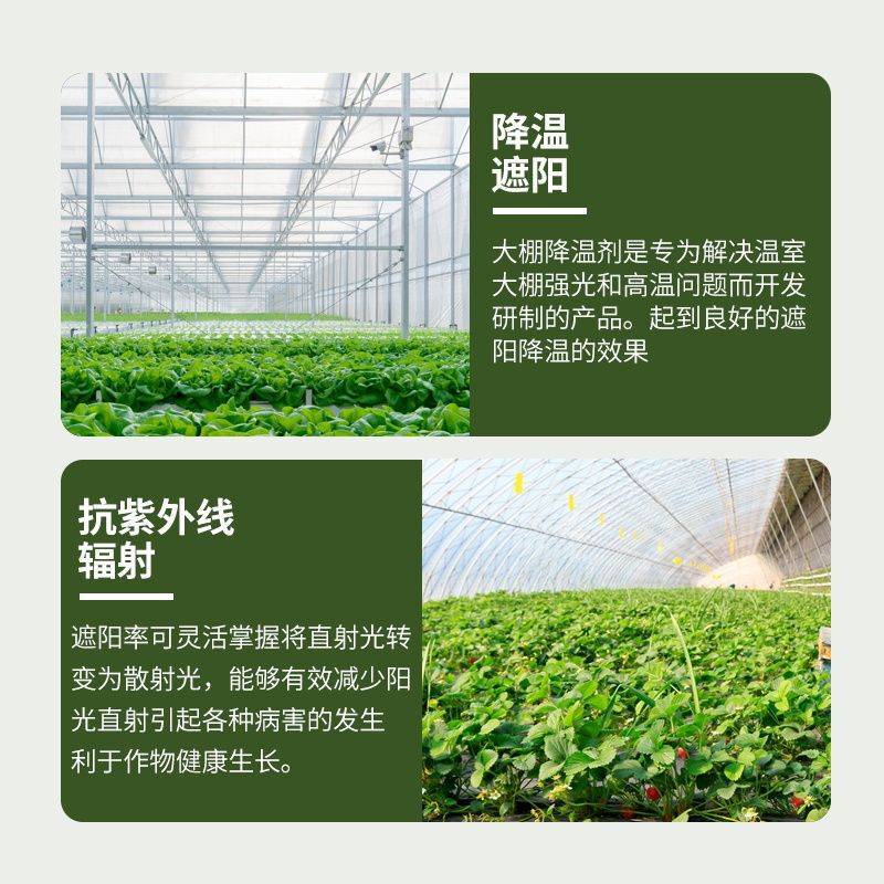 温室の温度を下げる水溶肥温室の日除け剤温室の野菜のアーチの棚は雨を防ぐことができます。|undefined