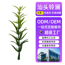 �����������ϾGֲ���zˮ���b���DIY����ɭϵ�Ʒ�������Gֲ