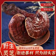 灵芝批发 材长白山紫灵芝可切片打粉灵芝泡酒