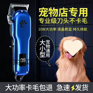 �������ӌ��I��ë��������Ƽ���ë��ë����������Ȯ�����