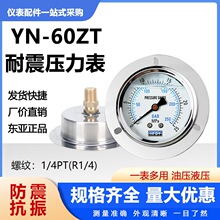 HFDYע�ܙCYN60ZT����������������0-11.6 250 400KGMPA��Һ��