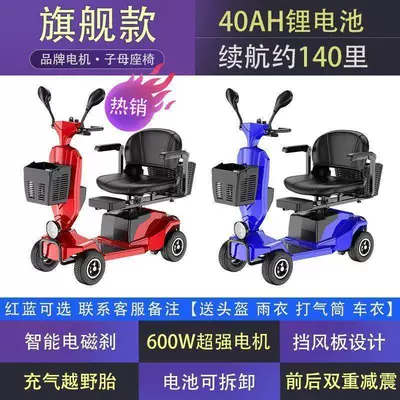 Vehicle for Adults, Suitable for: Qatlanan elektrik velosipedlər - flagship-600w-lithium-battery-40ah-with-a-range-of-70-kilometers