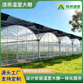 连栋温室大棚厂家 外遮阳内遮荫农用花卉蔬菜养殖大棚育苗种植棚