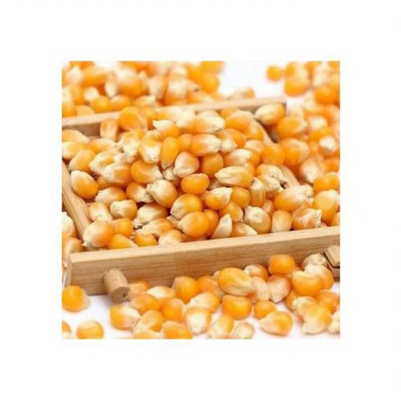 Кукурузные зерна для кормления кур оптом, корм для птицы, крупа, разведение мелких кур, голуби, питомцы, независимая станция