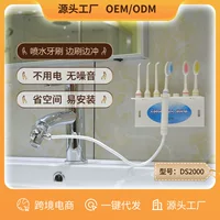 Teeth Irrigator, Teeth Scrubber, Portable Teeth Irrigator, Source Manufacturer DS2000 Piston Pump Teeth Irrigator