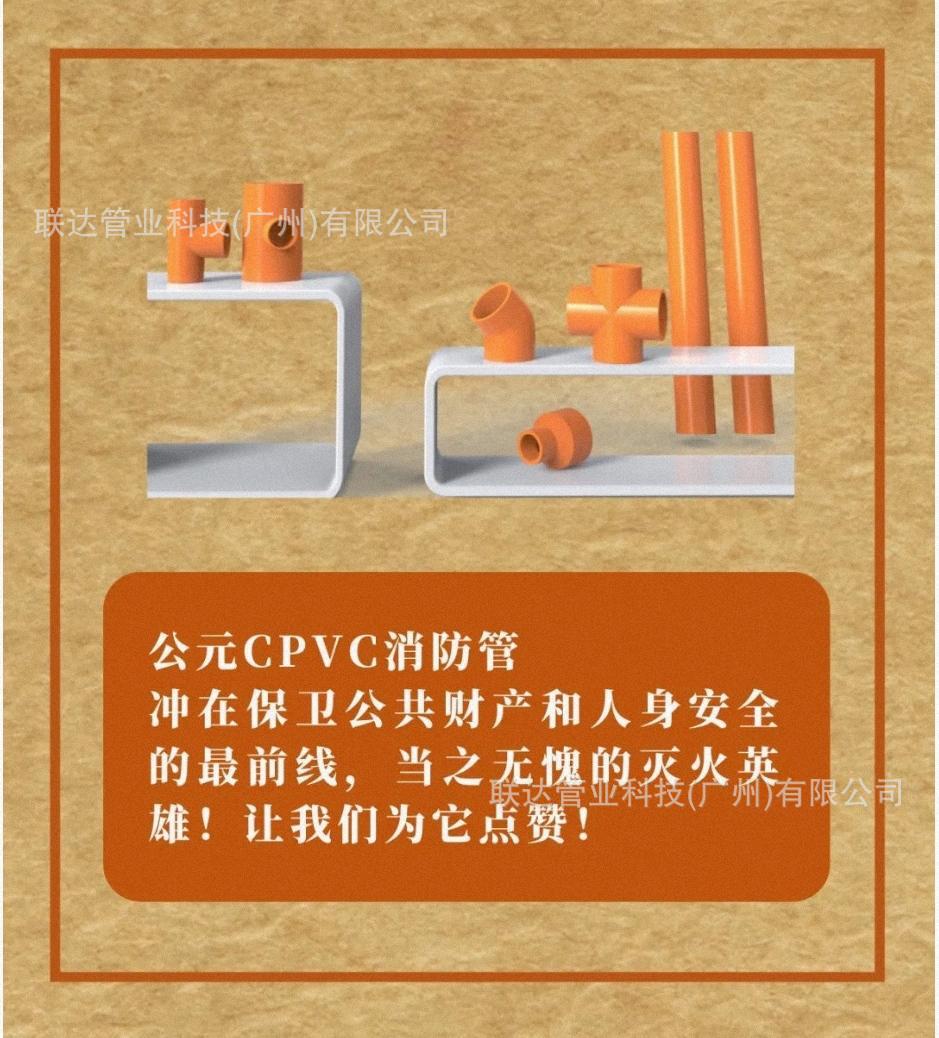 IMG_4550(20231214-231933)