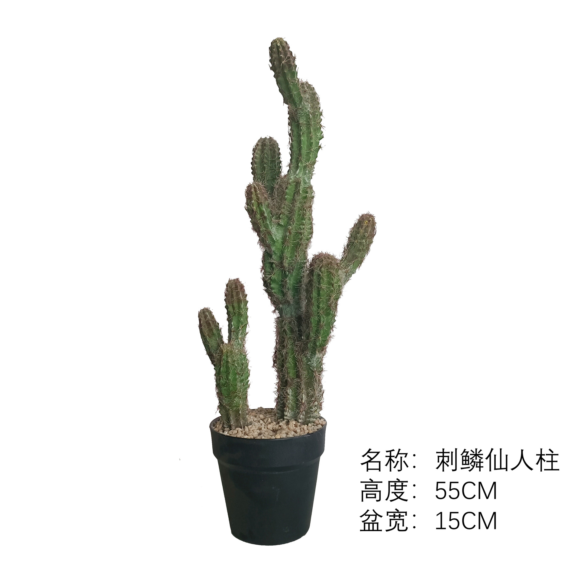 Simulación nórdica Planta verde Pilar de hadas Cactus grande piso interior sala de estar ropa tienda decoración de ventana