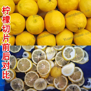厂家现货柠檬切片机 果茶切片设备 不锈钢猕猴桃切片机