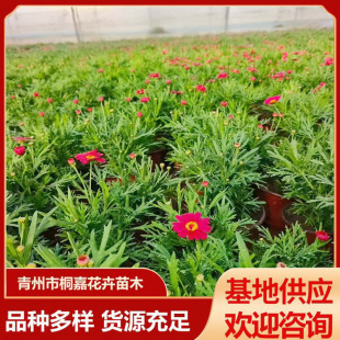 ���ݻ��ܻ������l�����������Ի����쾰�^�p�������������ع�����