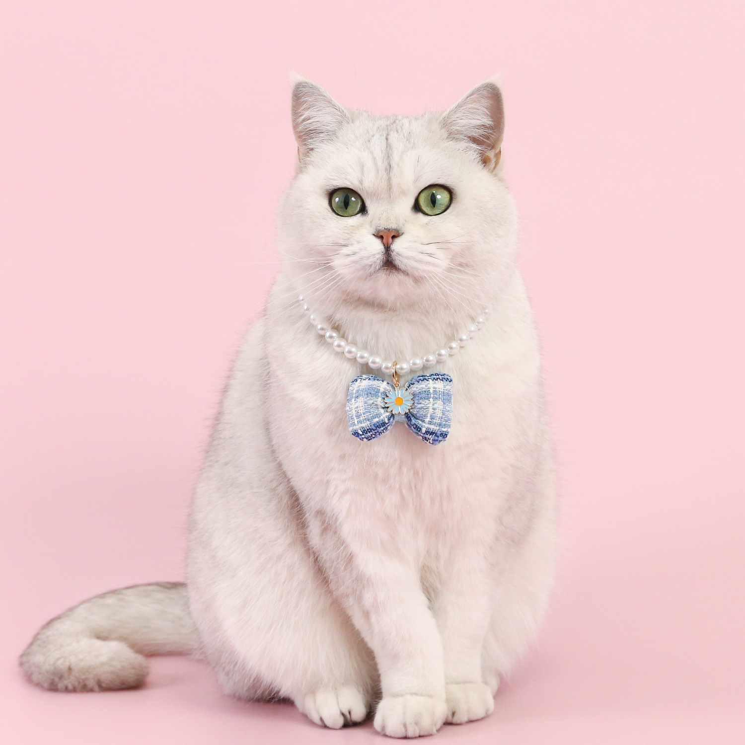 Pet Pearl Plaid Arco Colgante Collar Ajustable Perro Gato Daisy Princess Accesorios Collar de Cumpleaños