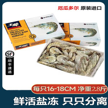 南美白虾3040 水冻大虾冷冻对虾速冻厄瓜多尔白虾海鲜水产对虾类