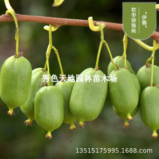 ܛ���J���Ҙ������ِܛ���ӫJ�������ͺ��殐ݮ����������ٹ���