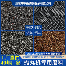 S330���賧�ҹ������������ɰ����ĥ�ϸ�̼�Ͻ��������ֻ�ֱ��