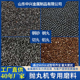 国标美标钢砂钢丸钢丝切丸抛光研磨丸喷砂金属磨料高碳钢丸s390