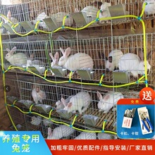 兔笼养殖笼加密加粗热镀锌大型母兔繁殖新型防腐子母大号商品兔笼