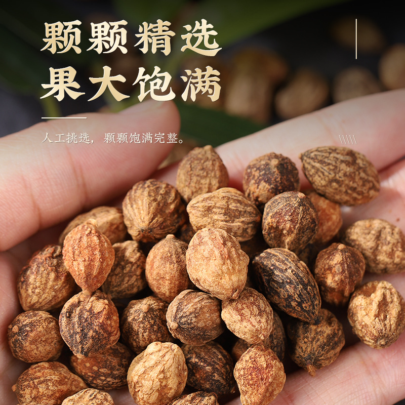 Yi Zhi Ren Dried Alpinia Oxyphylla Fruit 50g Bottle Traditional Chinese Herb for Decoction and Culinary Use preparation