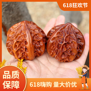 ̴ľ��������ְѼ�ɳĮ�F�������湤ˇƷɳĮ��ľ�|��֦�Ѽ�