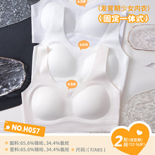 二阶段少女发育期冰丝无痕宽肩带轻薄无钢圈固定杯内衣H057美背