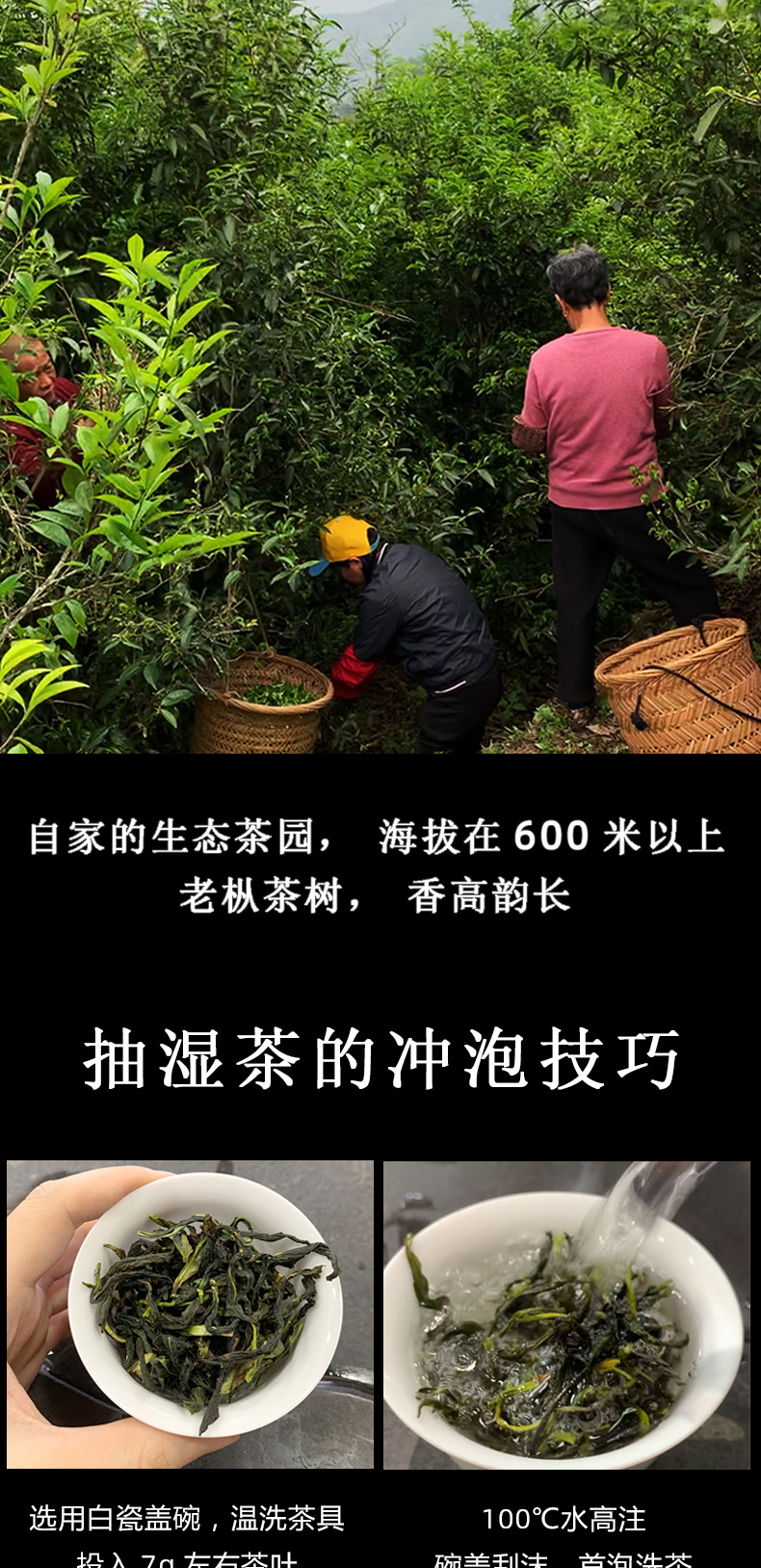 抽湿蜜兰香详情_09.png